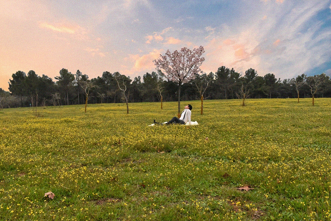 un hombre recostado en el césped viendo el cielo 