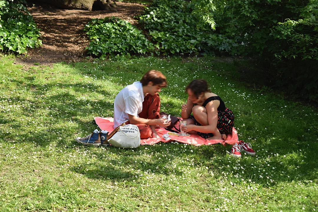 una pareja haciendo un picnic en el retiro