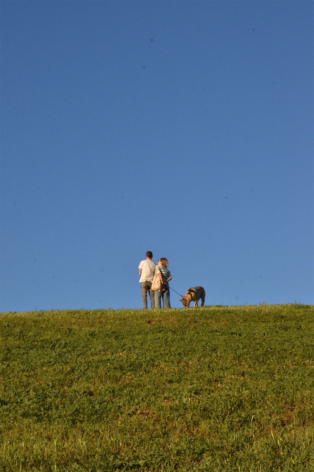 una pareja y su perro en lo alto de una colina