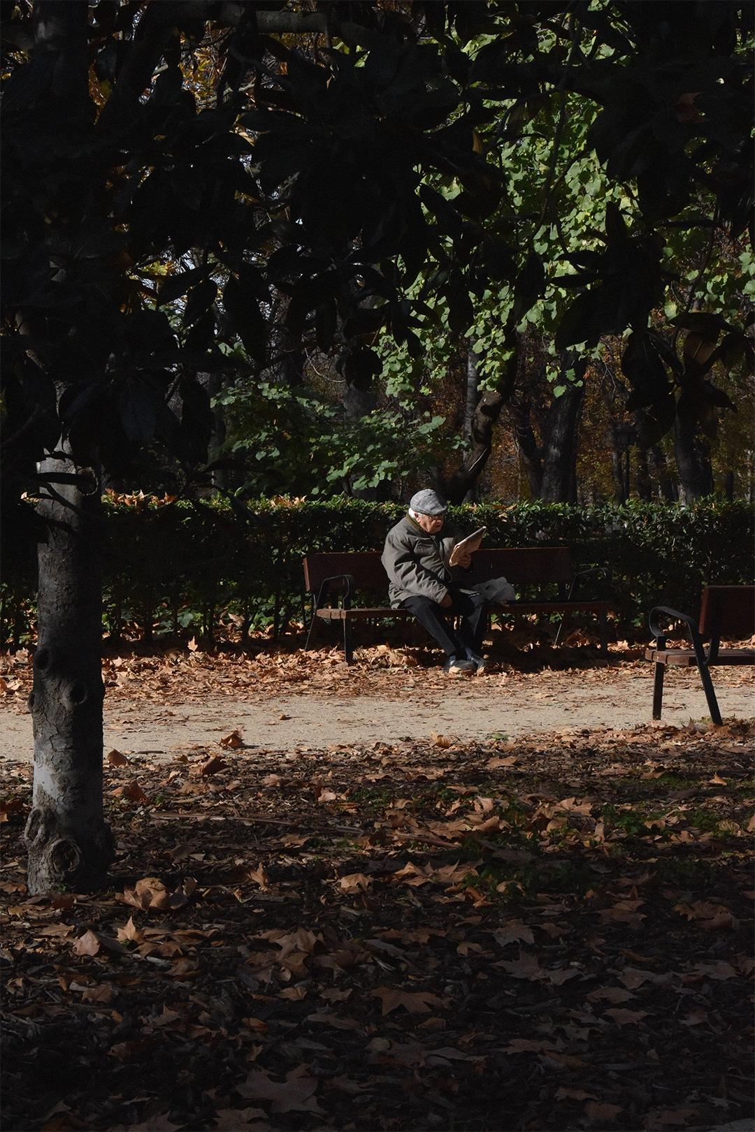 Un señor mayor leyendo el periódico en el retiro